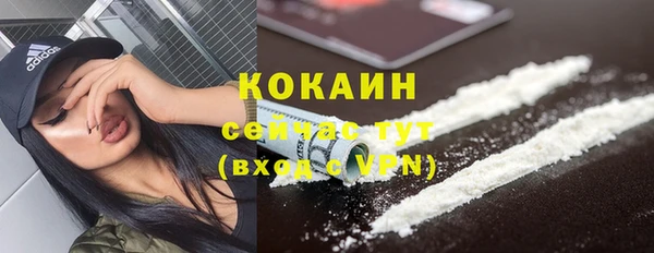 соль ск Липки