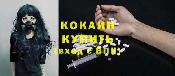 соль ск Липки