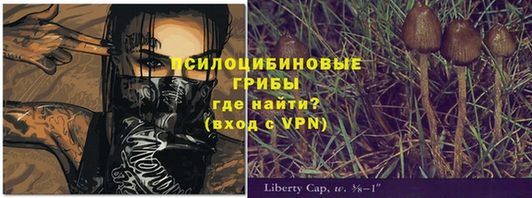 mdpv Майский