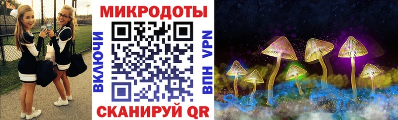 Галлюциногенные грибы Psilocybe  Кукмор 